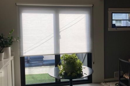 Stylish custom window shades in a Poway living room, highlighted by green indoor plants and refined, contemporary furnishings.